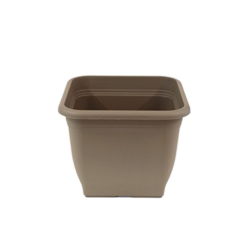 greemotion Pflanzkübel Pia Taupe - Blumentopf 28x28cm - 9L Blumenkübel eckig - Übertopf UV-beständiger Kunststoff - Pflanztopf frostsicher - Pflanzgefäß mit Bodenlöchern - Pflanzen-Zubehör von Greemotion