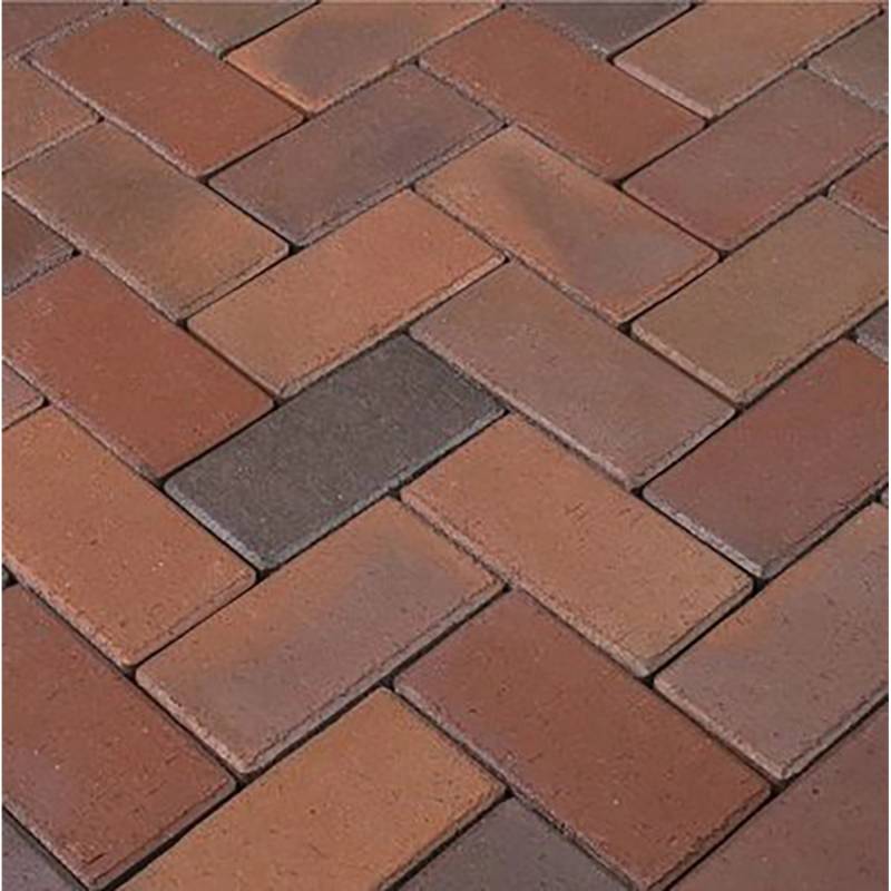 Pflasterklinker Müritz leicht Bunt 10 x 20 x 4,5 cm von -