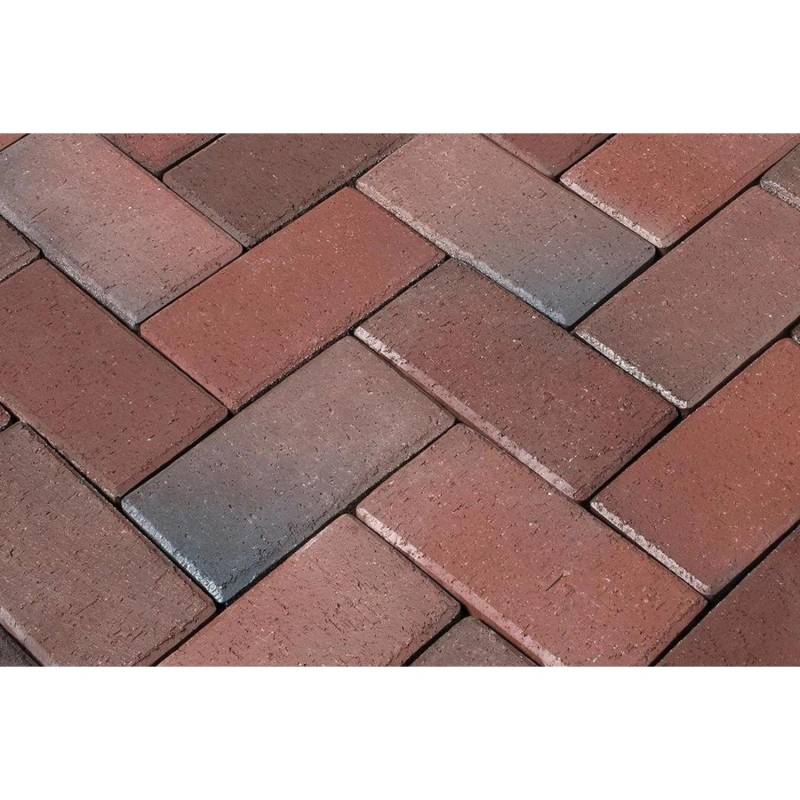 Pflasterklinker Wismar Rot-Blau-Bunt 10 x 20 x 4,5 cm von -
