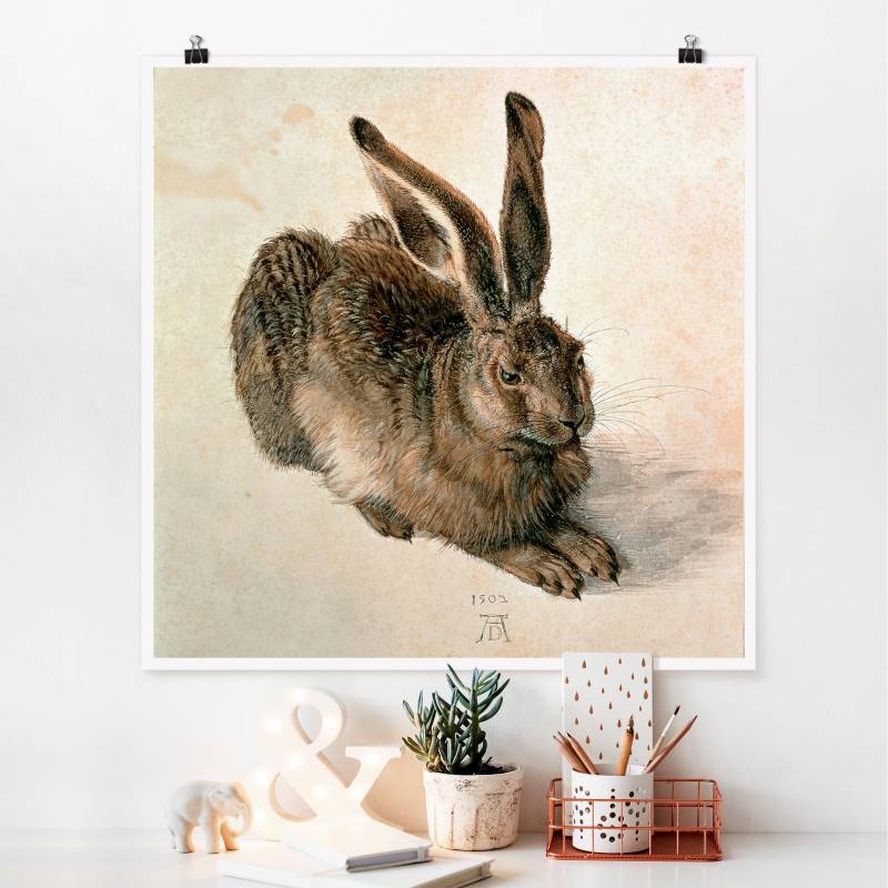 Poster Albrecht Dürer - Junger Feldhase