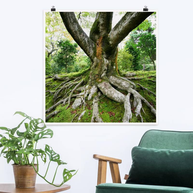Poster Alter Baum