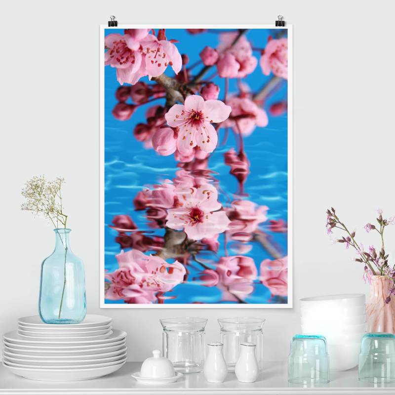 Poster Blumen Kirschblüte