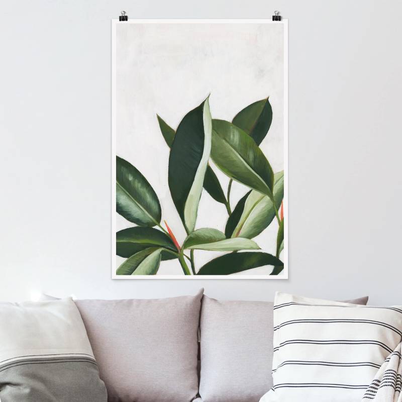 Poster Blumen Lieblingspflanzen - Gummibaum
