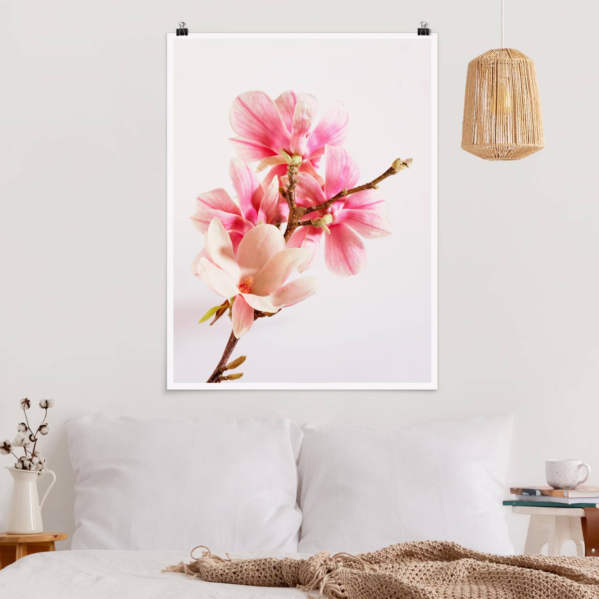 Poster Blumen Magnolienblüten