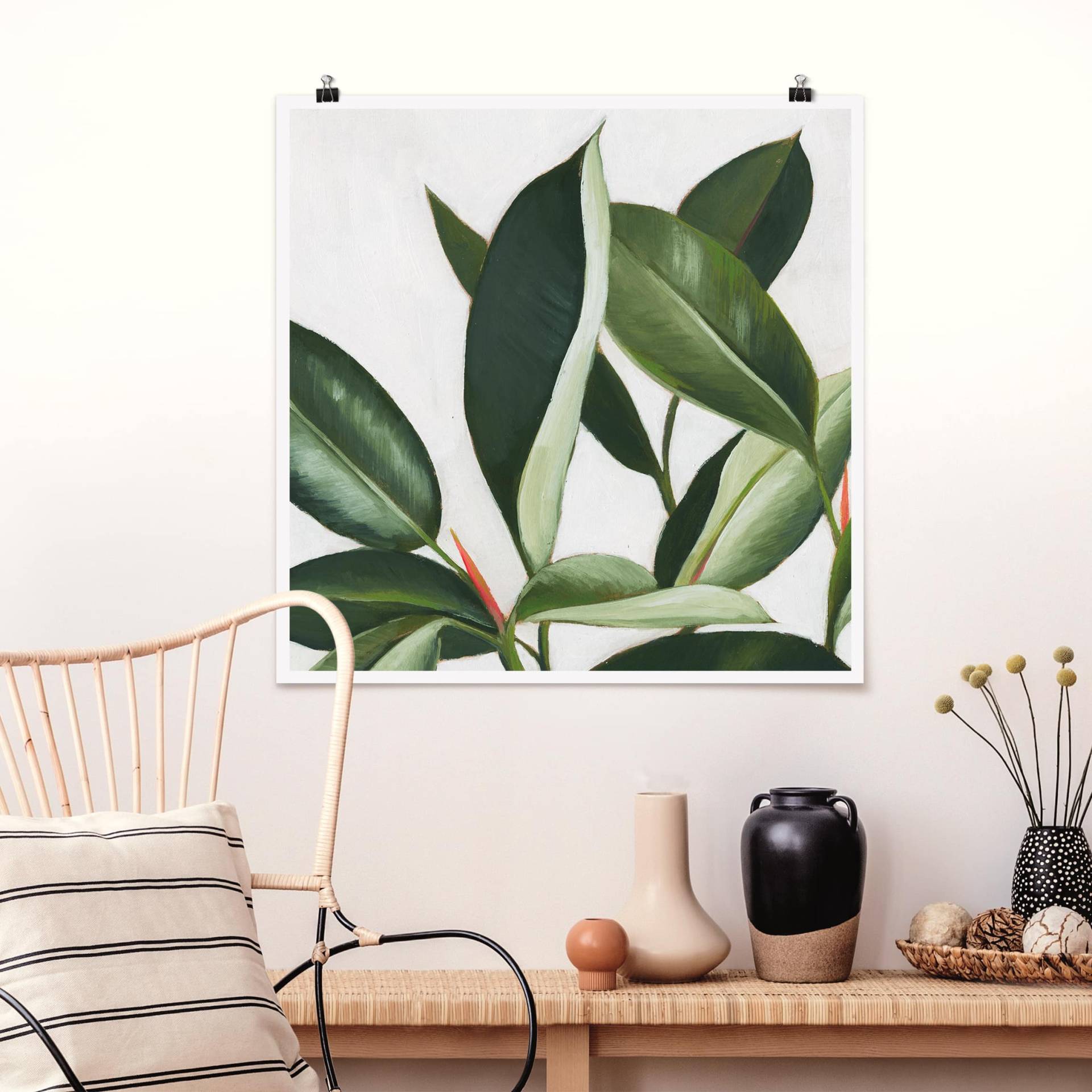 Poster - Quadrat Lieblingspflanzen - Gummibaum