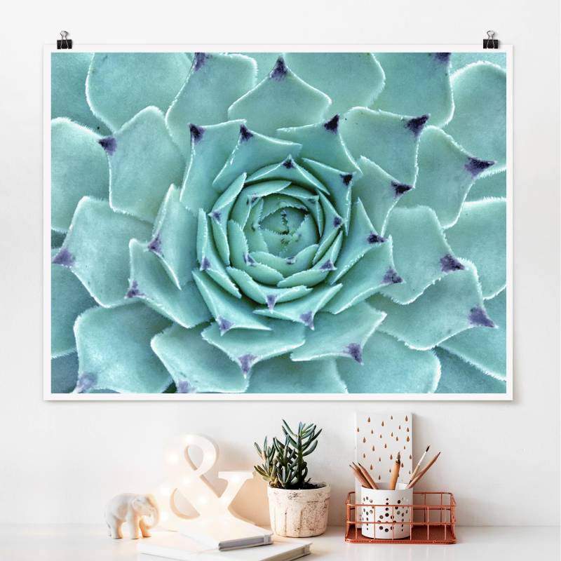 Poster - Querformat Kaktus Agave
