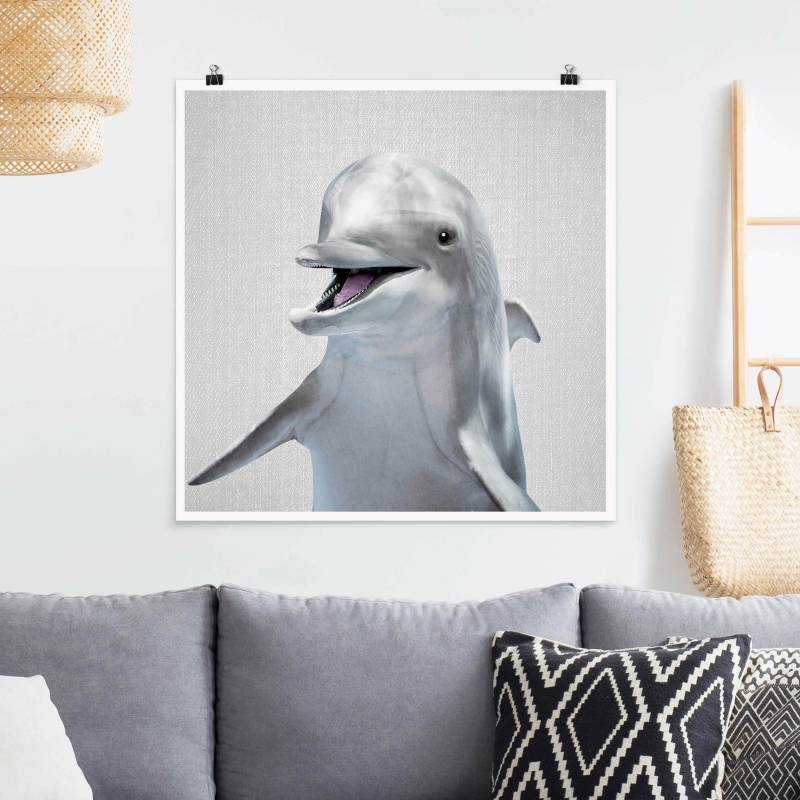Poster Delfin Diddi