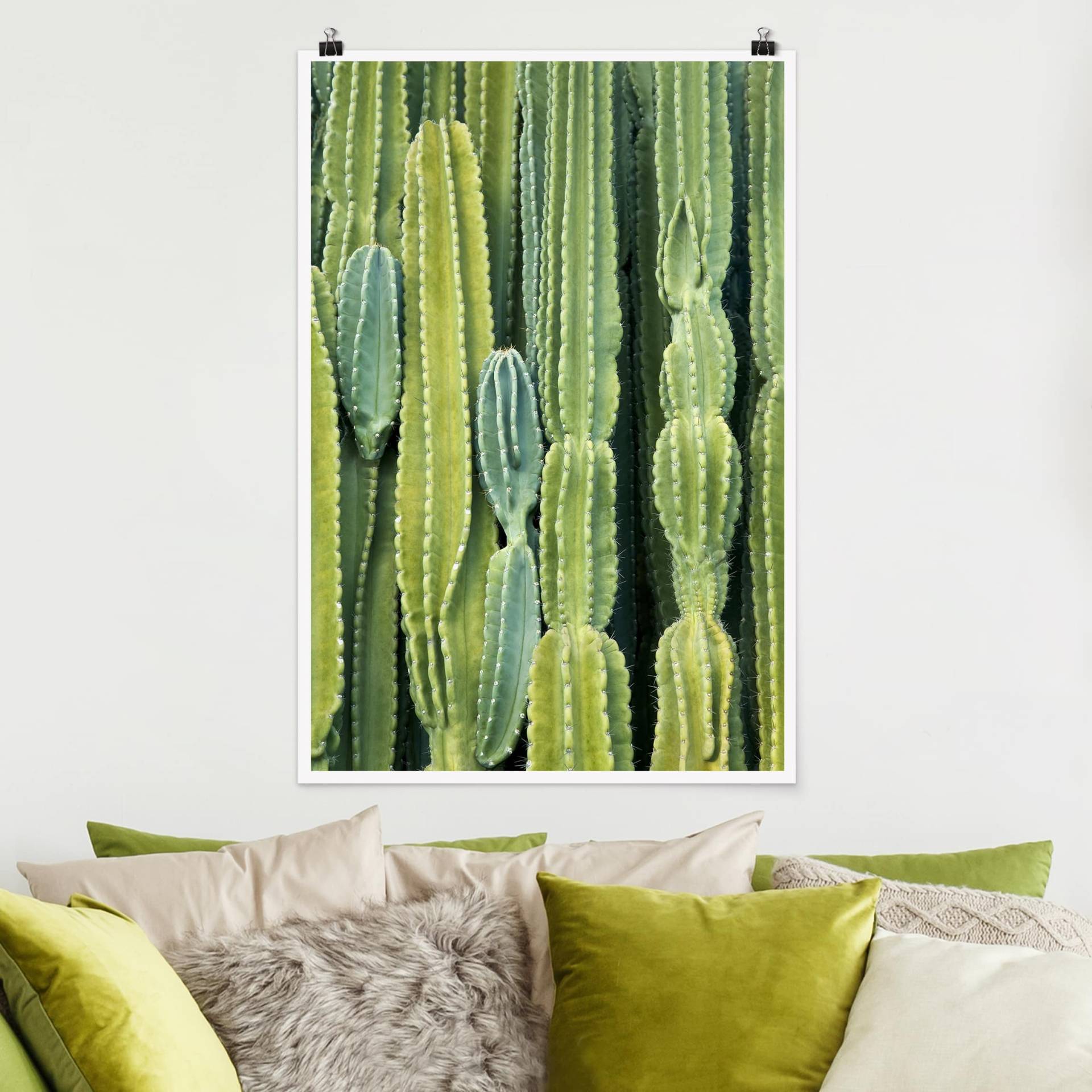 Poster - Hochformat Kaktus Wand