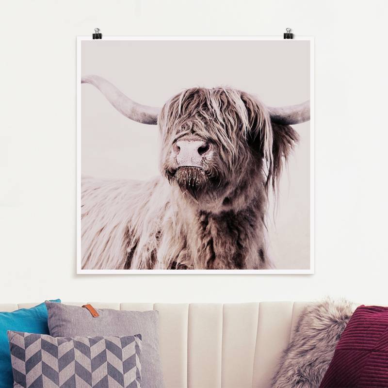 Poster Hochlandrind Frida in Beige