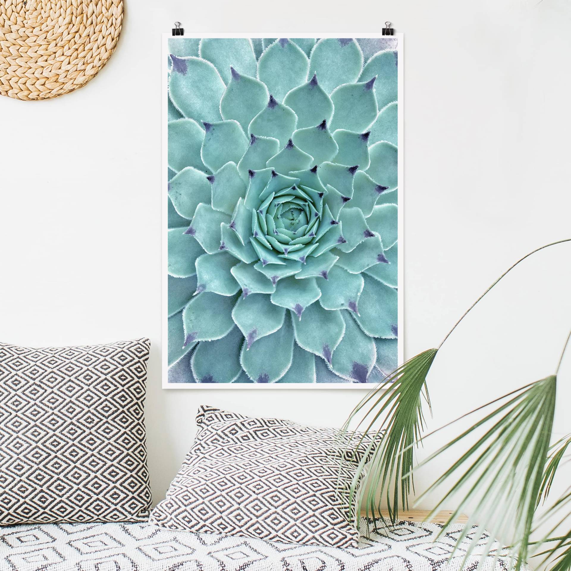 Poster Kaktus Agave