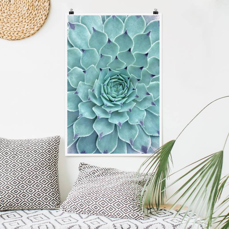 Poster Kaktus Agave