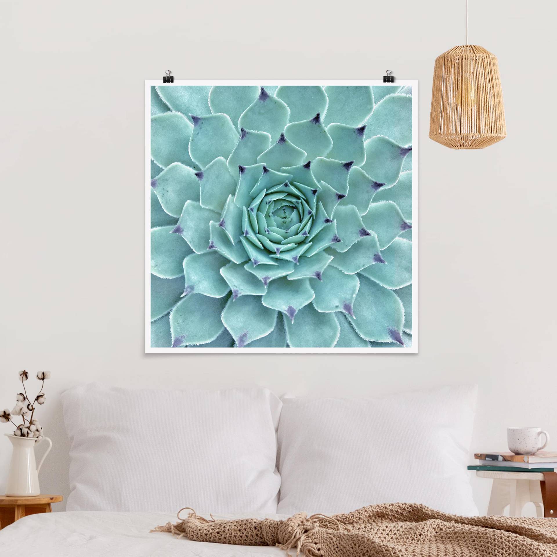 Poster Kaktus Agave