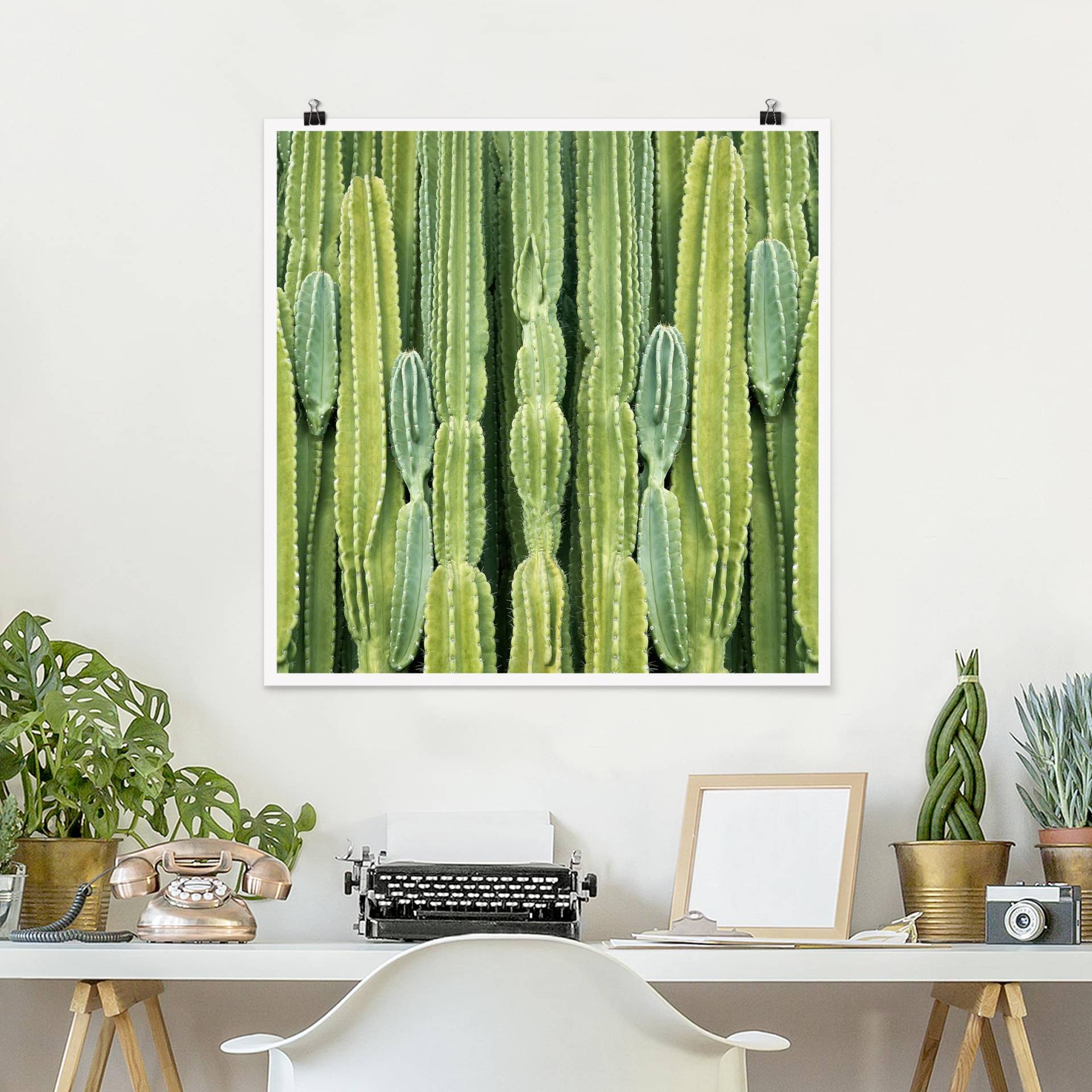 Poster Kaktus Wand