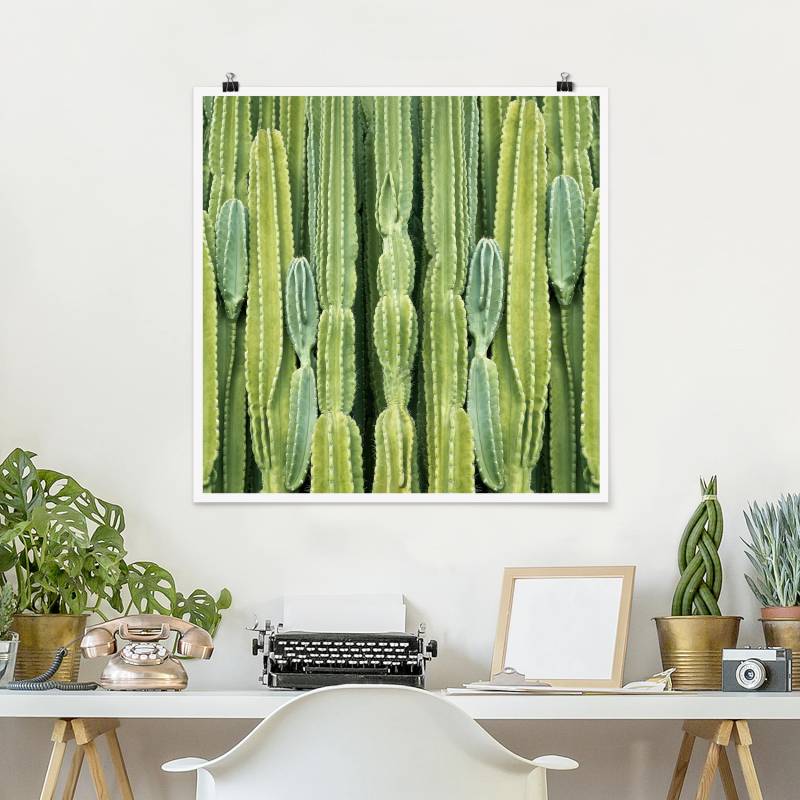 Poster Kaktus Wand