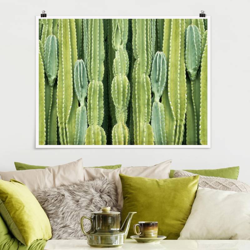 Poster Kaktus Wand