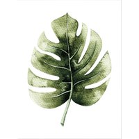 Wall-Art Poster "Kvilis Dschungel Monstera Pflanze", Schriftzug von Wall-Art