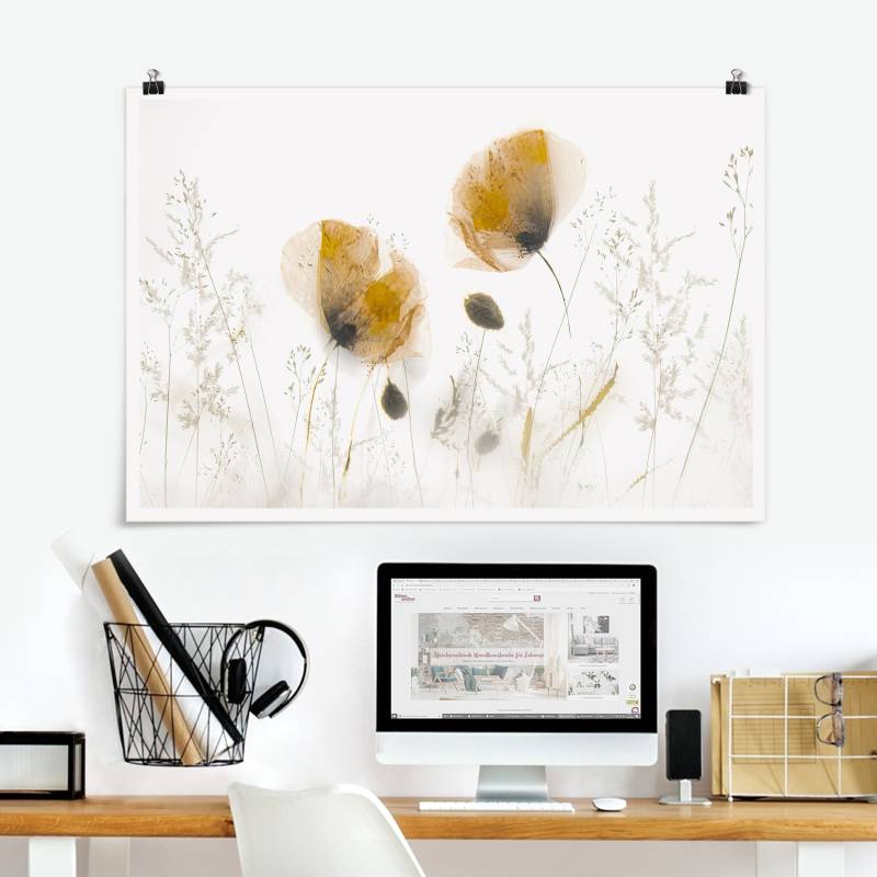 Poster Mohnblumen und zarte Gräser im weichen Nebel