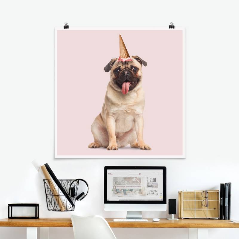 Poster Mops mit Eiswaffel