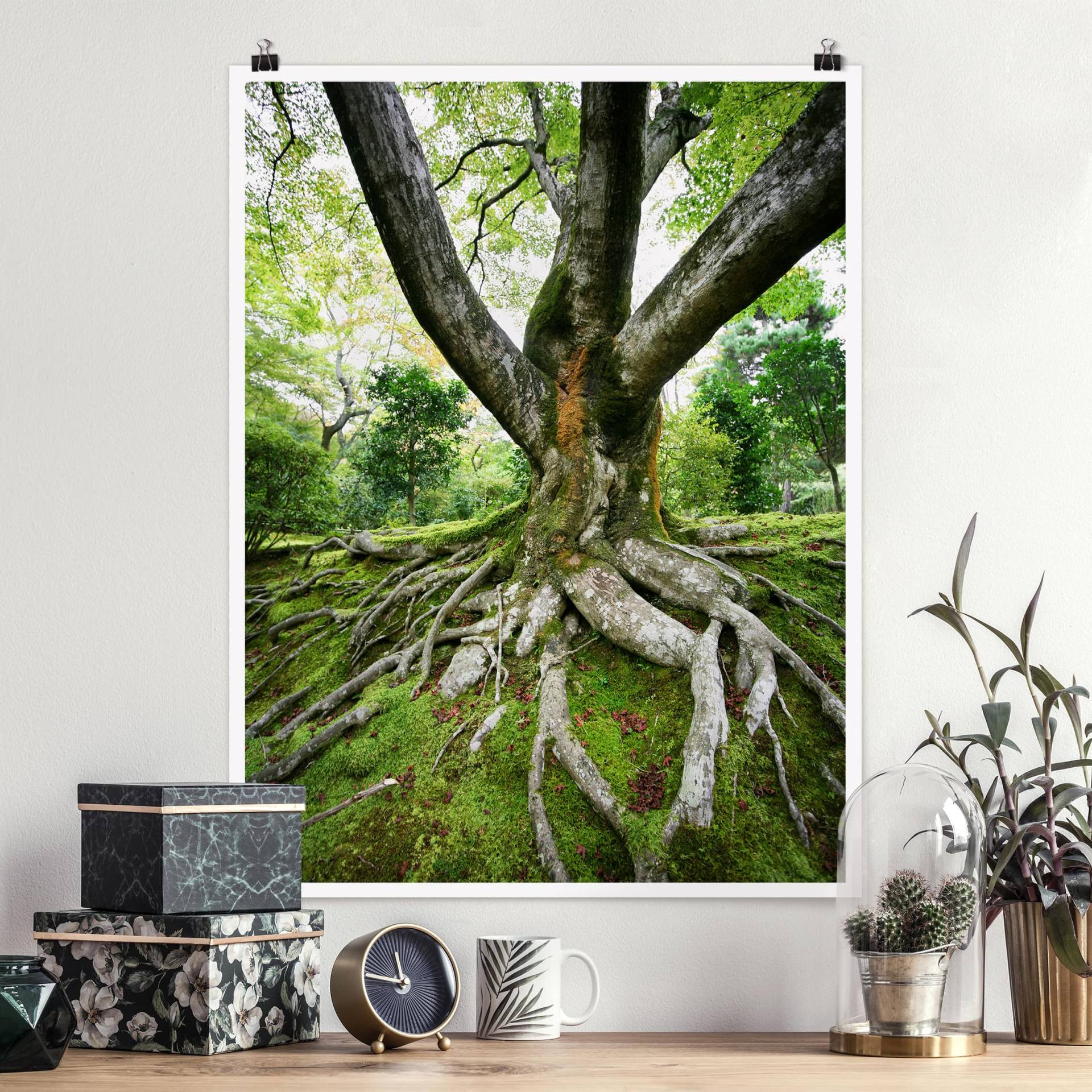 Poster - Hochformat Alter Baum