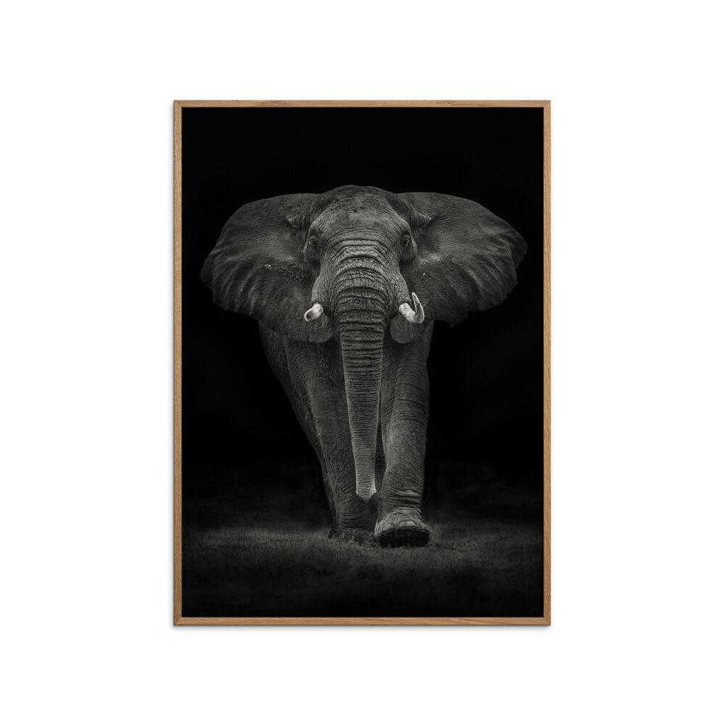 Poster&Frame POSTER Dunkelgrau, Eiche