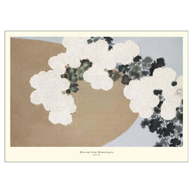 Poster&Frame POSTER Natur