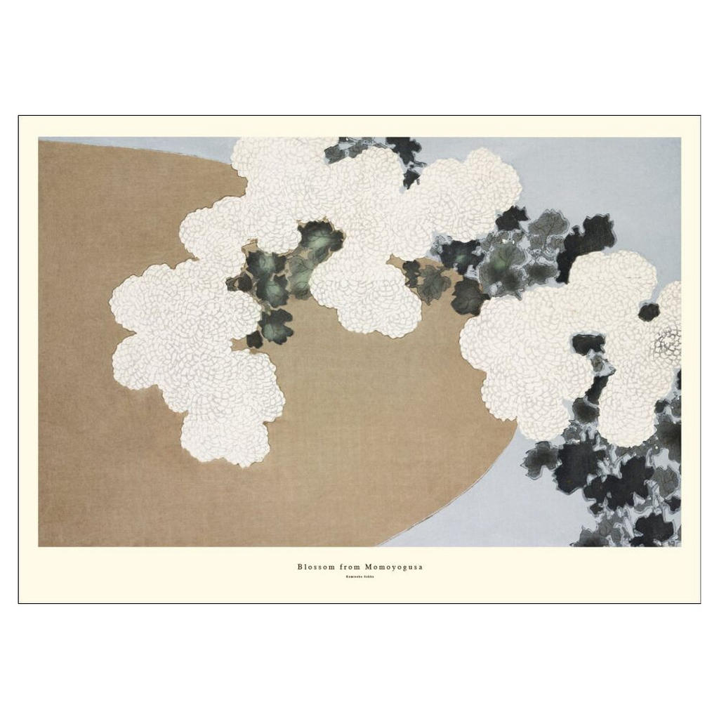Poster&Frame POSTER Natur