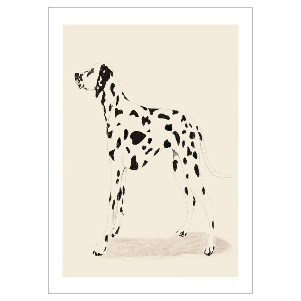 Poster&Frame POSTER Natur