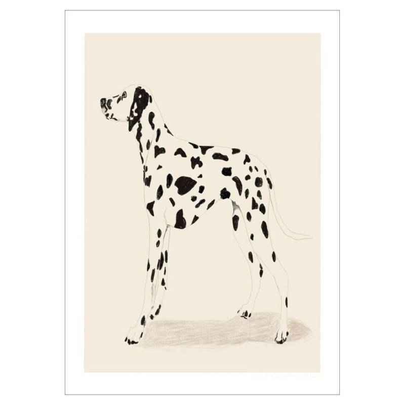 Poster&Frame POSTER Natur