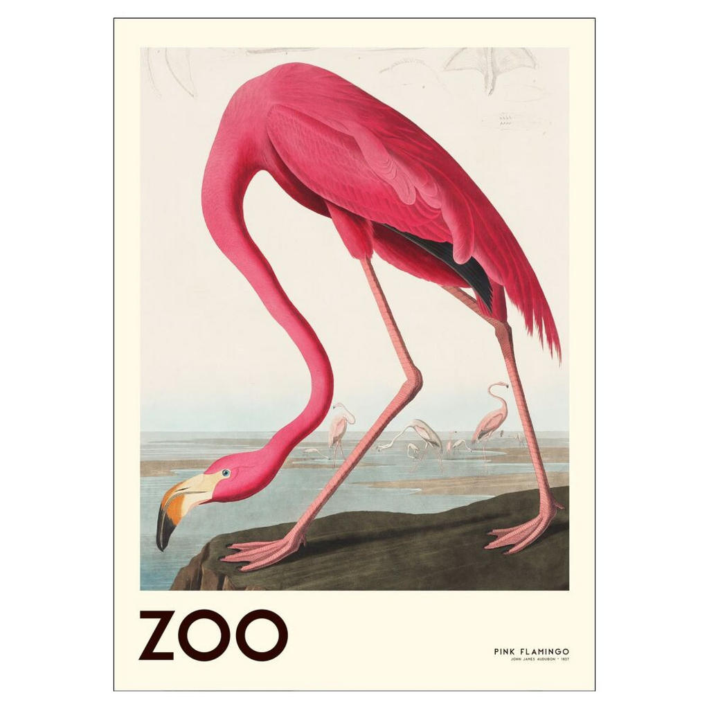 Poster&Frame POSTER Pink