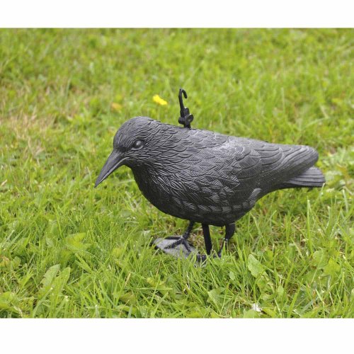 Rabe für Ihren Garten - Vogel Abwehr Krähe Gartenfigur Vogelscheuche Taubenschreck von EDM