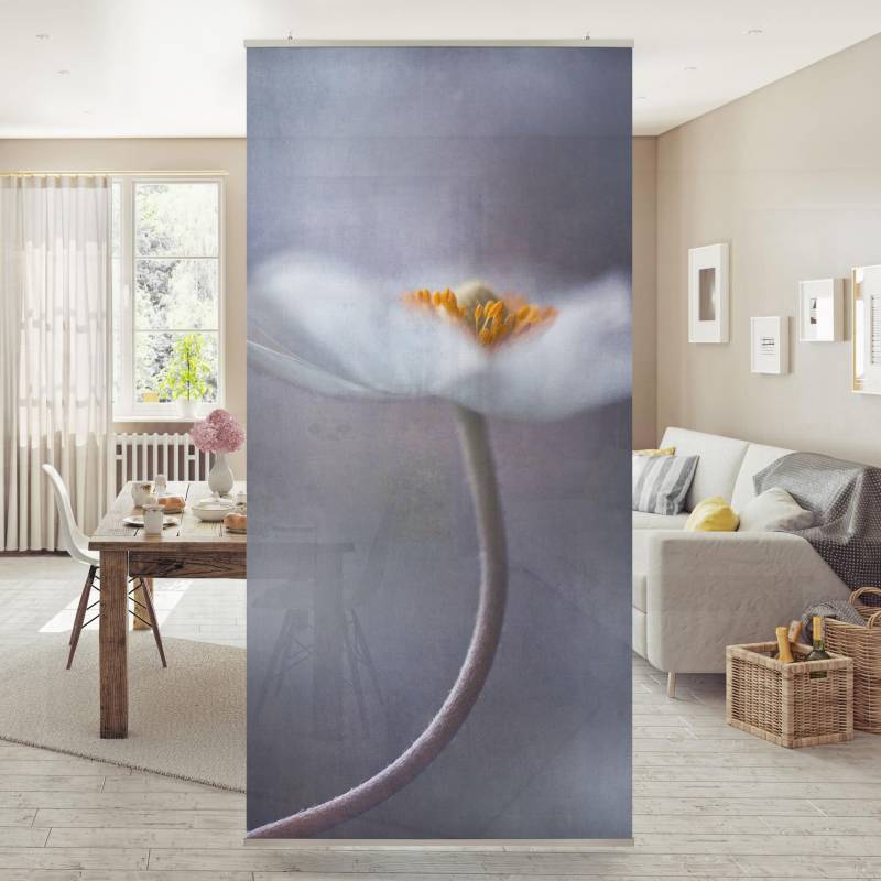 Raumteiler Weiße Anemonenblüte