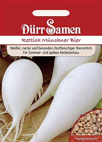 Rettich Münchner Bier von Dürr-Samen