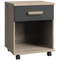 Rollcontainer CARIBA von WIMEX Braun