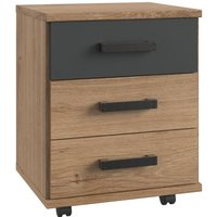 Rollcontainer mit 3 Schubkasten LIVERPOOL von Wimex Plankeneiche NB / Graphit