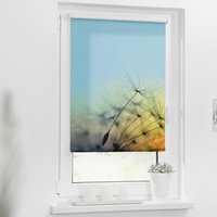 Rollo Pusteblume blau B/L: ca. 120x150 cm von LICHTBLICK