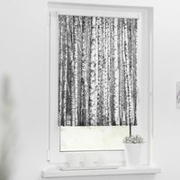 Rollo Bretter Birken schwarz B/L: ca. 70x150 cm von LICHTBLICK