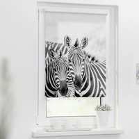 Rollo Zebra schwarz B/L: ca. 90x150 cm von LICHTBLICK