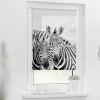Rollo Zebra schwarz B/L: ca. 70x150 cm Rollo Zebra schwarz B/L: ca. 70x150 cm von LICHTBLICK