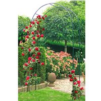 Rosenbogen Flora