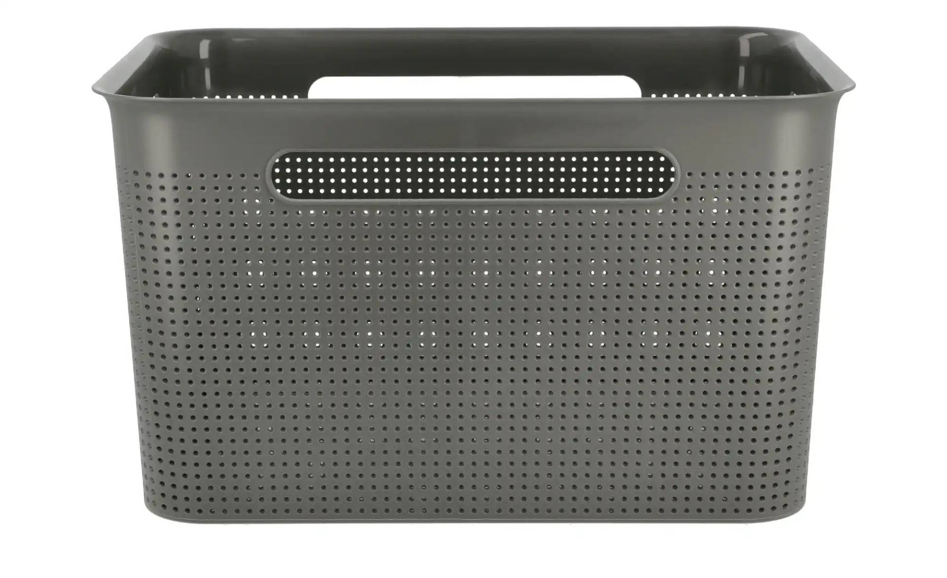 Rotho Aufbewahrungsbox  BRISEN ¦ grau ¦ Polypropylen ¦ Maße (cm): B: 36 H: 21 T: 26.0 Aufbewahrung > Aufbewahrungsboxen - Möbel Kraft