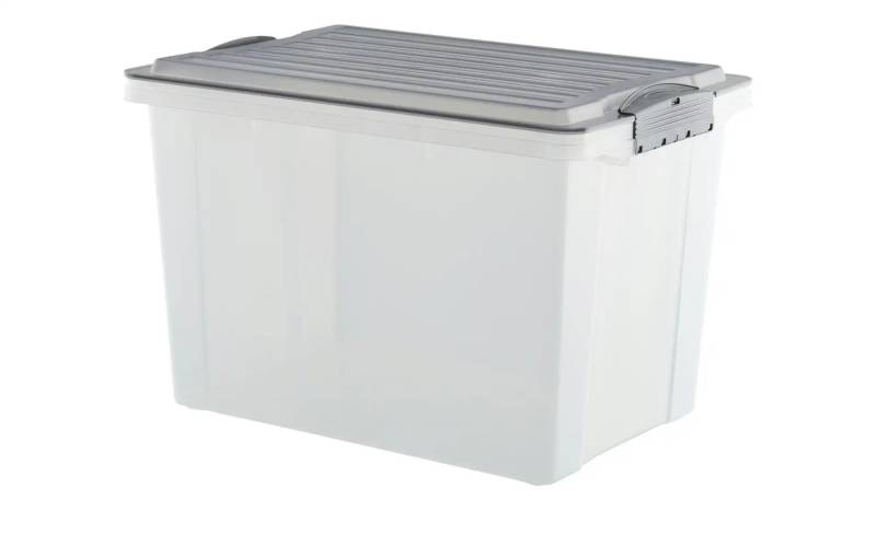 Rotho Aufbewahrungsbox mit Deckel   ¦ grau ¦ Polypropylen ¦ Maße (cm): B: 27,5 H: 27 Aufbewahrung > Aufbewahrungsboxen - Möbel Kraft
