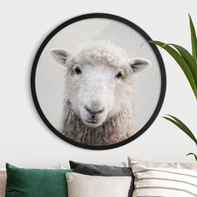 Rundes Bild mit Rahmen Schaf Steffi