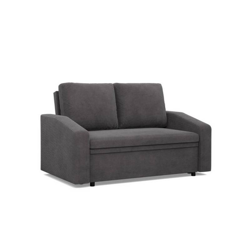 SIMKAM Furniture SOFA Dunkelgrau