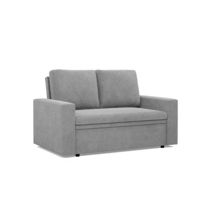 SIMKAM Furniture SOFA Hellgrau