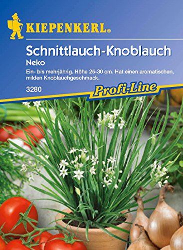 Schnittknoblauch, chinesisch - Allium tuberosum (100 Samen) von exotic-samen