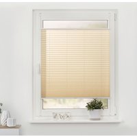 Spannplissee creme B/L: ca. 80x130 cm von LICHTBLICK