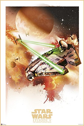 Star Wars Poster -Episode V - The Empire strikes back - TIE Fighter vs. Millennium Falcon - Krieg der Sterne (91,5 x 61 cm) + weiÃŸe Geschenkverpackung. Verschenkfertig! von Star Wars
