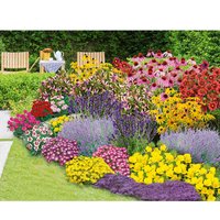 Staudenbeet 'Blooms for Months'