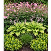 Staudenbeet 'Schattengarten'