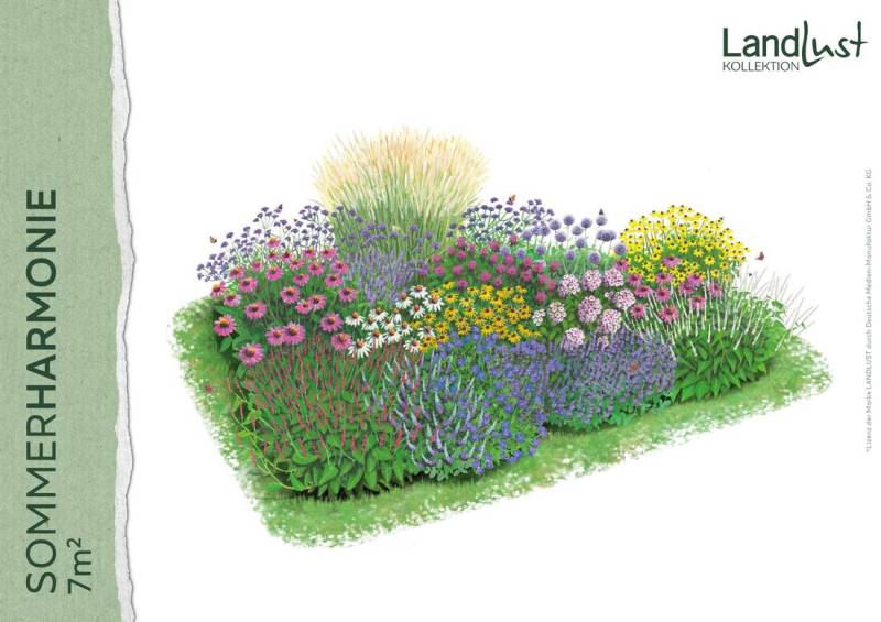 Staudenpaket „Sommerharmonie 7qm";Entdecken Sie unsere neue Pflanzen-Welt aus der Zusammenarbeit von Landlust x Landgard! Die neuen Landlust-Kollektionen bringen Frische und Leben in den Garten und die Wohnung. Die hochwertigen Pflanzen werden von Familienbetrieben in Deutschland kultiviert.<br><br>Freuen Sie sich auf weitere, jahreszeitlich abgestimmte Pflanzen-Sets mit jeder neuen Ausgabe!<br><br><strong>Nur solange der Vorrat reicht. Pflanzen sind Naturprodukte, die mitunter in Größe, Wuchs und Farbe von den abgebildeten Fotos abweichen können.<br>Versand nur nach Deutschland und Österreich! Eine Lieferung an eine Packstation ist generell nicht möglich. Der Versand erfolgt über DPD direkt vom Hersteller Landgard. Die Lieferzeit kann bis zu 14 Tage betragen.</strong>"